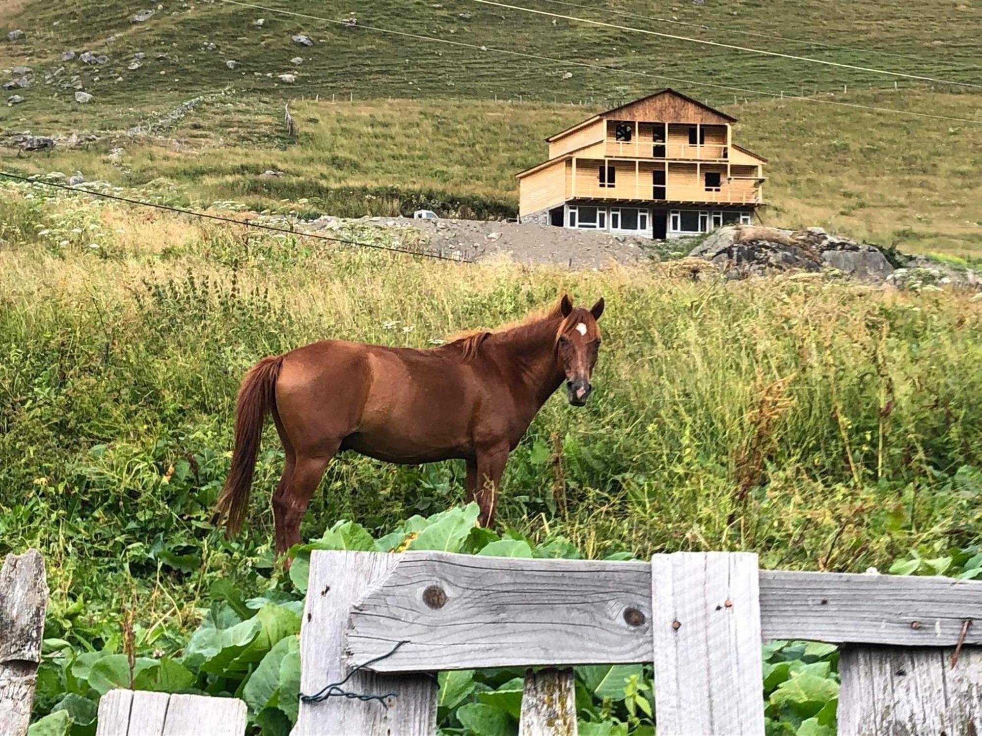 Ela Hotel Ushguli Exterior photo